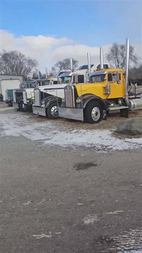 Found a old kenworth that's still out working @stanleykurek8052