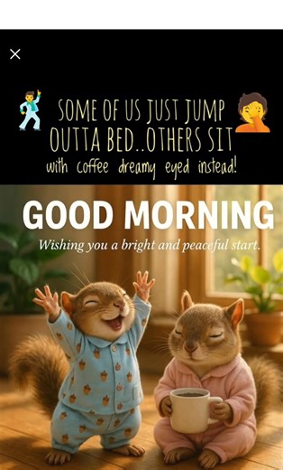 1.7K views · 15 reactions | Joanna Rohrback on Reels | Facebook