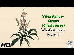 Chasteberry: The Ancient Herb Revolutionizing Women’s Health Today