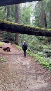 Fall Creek Unit ￼in Felton, California | Kalen Dion