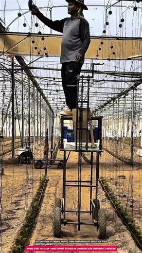Manual Lifting Tools 2.5m – Smart Farming Platform for Greenhouse Work, Maintenance & Harvesting
