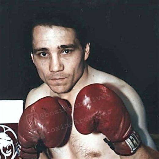 Former World Lightweight and Junior Welterweight Champion Greg Haugen Dies at 64 - REAL COMBAT MEDIA