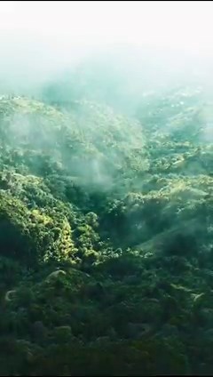 Discover the majesty of the Blue Mountains ⛰️🇯🇲 #VisitJamaica 📍Blue Mountains, Jamaica 🎥:@tivarseivwright | VisitJamaica