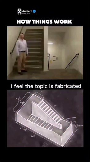 Ancient on Instagram: "Researchers and science documentary teams studying leafcutter ants carried out the cement casting on a confirmed abandoned colony. The site showed multiple nest entrances spread across a wide surface area, indicating a mature and long lived system. Liquid cement was prepared in large batches and pumped directly into every visible opening. The total volume used ranged between 8 and 10 tons of cement. This amount was necessary to fill all tunnels, shafts, and chambers withou