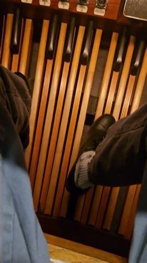 32'organ pipe, pipe organ pedal test #pipeorgan #music #instrument #loud #big #deep