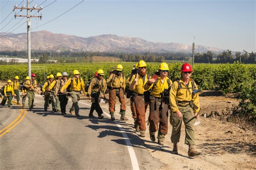 US Forest Service firings decimate already understaffed agency: 'It's catastrophic'