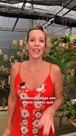 Juliana Garcia | Empresária e Especialista em Orquídeas on Instagram: "Você já cometeu algum desses erros? . #cultivo #orquidea #orchids #flor #orquideomania"
