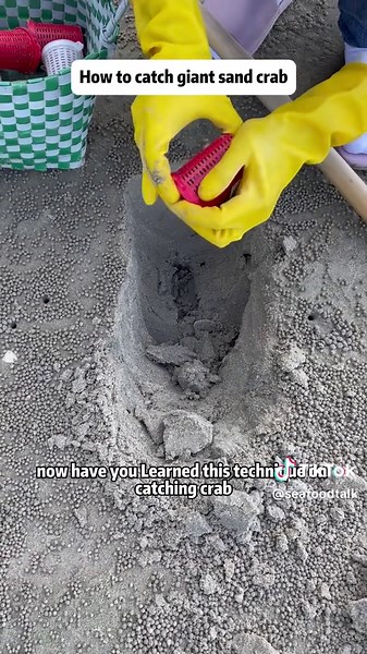 How to Catch Sand Ghost Crabs on the Beach