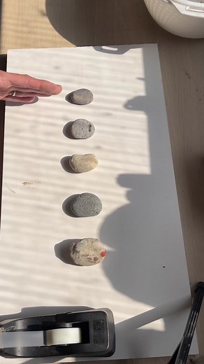 Cleaning Petoskey Stones: Vinegar Soak Comparison