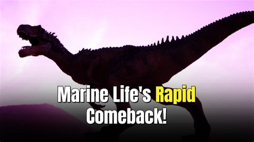 Marine life evolved rapidly after the dinosaur killing asteroid impact 66 million years ago