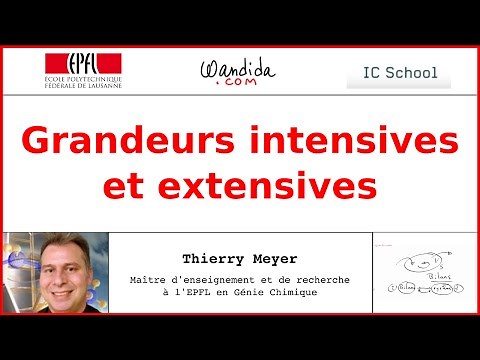 Grandeurs intensives et extensives | Thierry Meyer