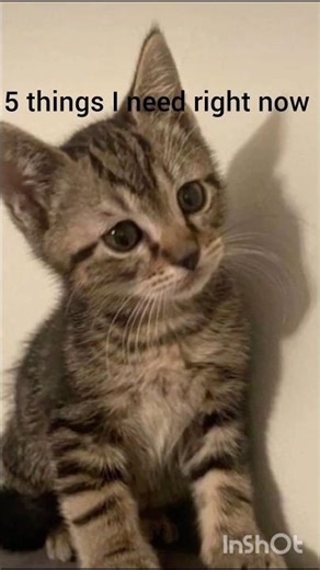 5 things I need right now. #youtube #shorts #fypシ #viral #money #fun @acsopworld