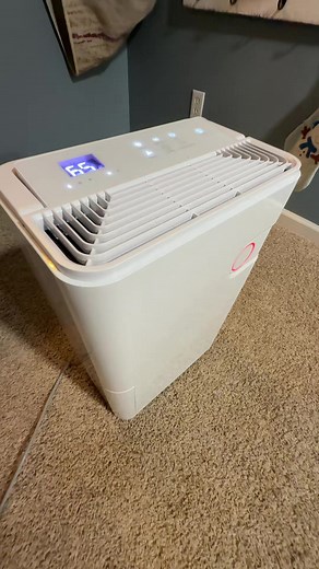 Dehumidifier Essentials for Home Comfort