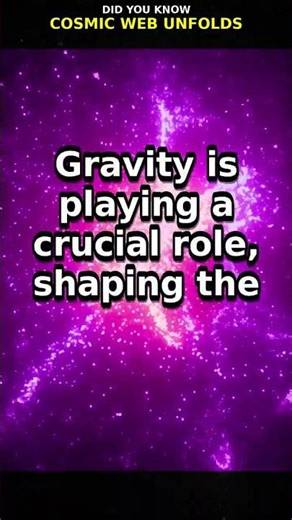 Cosmic Web Unfolds