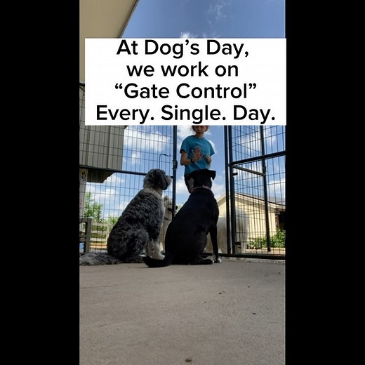 21 reactions | Did you know that gate control is crucial in ensuring...