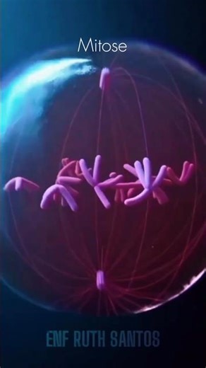 MITOSIS 🧬🤯| Cell Division ✨|| #shorts #viral #mitosis #cell #biology