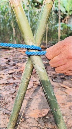 The Most Useful Knot You Must Know
