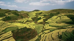 绿色星球 The Green Planet (2022)