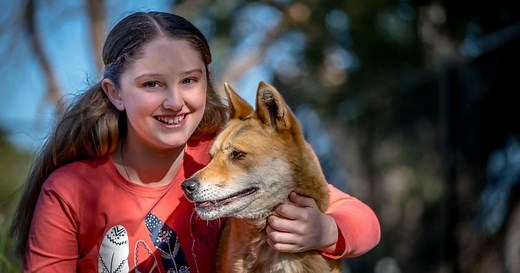 Maru Koala and Animal Park