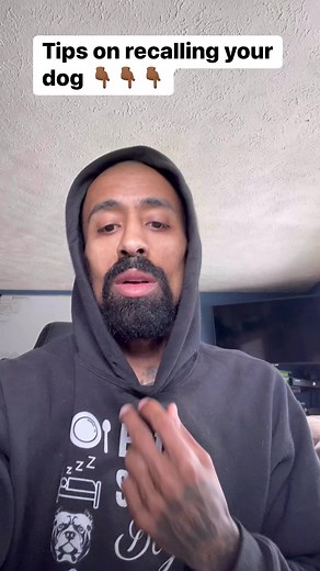 113K views · 1.4K reactions | Teaching a dog a solid recall is probably the most important thing we teach them here’s a few tips! Note ️ I teach class on Marlon Grennan  Thursdays at 715pm subscribe to my page to join! Gain access to my private group ask questions post videos! Get my advice! Happy to help! #reels #advice #dogtraining #dog | Marlon Grennan | Facebook