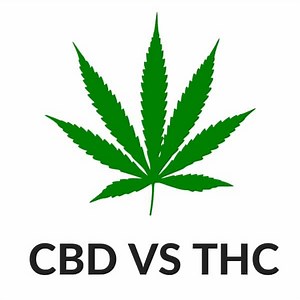 CBD vs. THC: Get The Facts About The Difference | Cannabis Place