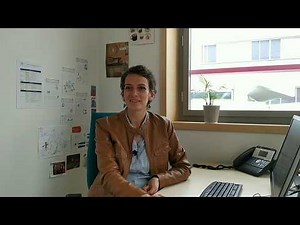 Identifier les différents réseaux de distribution