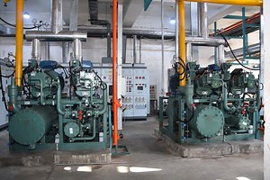 5.6K views · 172 reactions | First BITZER ACPs in #India! BITZER...