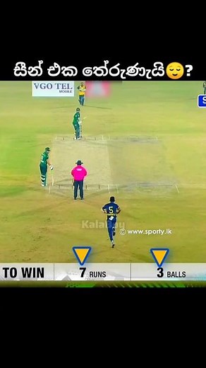 කාටද තේරුණේ😌??? #cricket #cricketlover #ytshorts