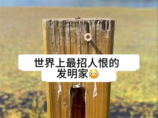 世界上最招人恨的发明家