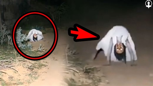 5 Videos De TERROR EXTREMO que NO te Dejaran DORMIR 2025 | Videos de MIEDO #terror #terrorsobrenatural #TerrorReal #fantasmas | DannyPhantom