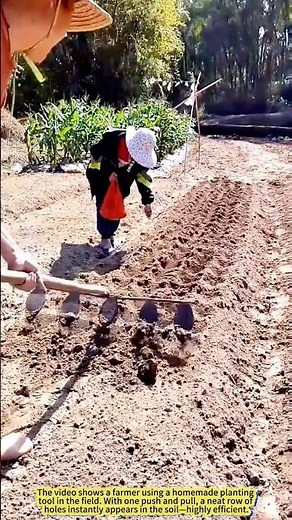 Homemade Multi-Hole Planter: Farmers’ Secret Weapon for Efficient Sowing.