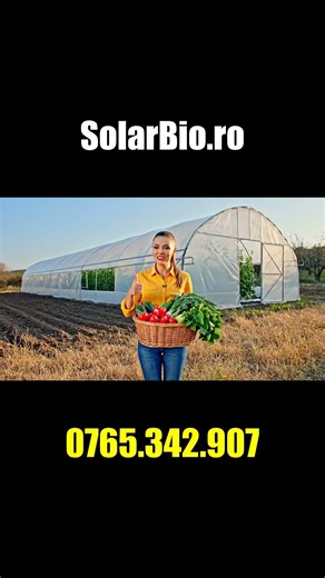 Scapă de mucegai în solar: când aerisești pentru recolte mai bune