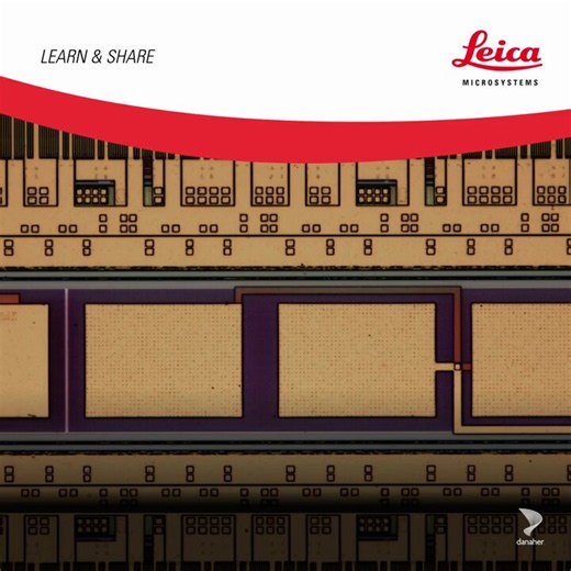 Leica Microsystems on X: "See how microscopes combining contrast methods, e.g. brightfield, darkfield, polarized light, and UV illumination, enhance #semiconductor inspection. During QC of wafers and integrated circuits (ICs), fast and reliable defect detection is achieved. 🔗 https://t.co/3i2ITH0JWX" / X