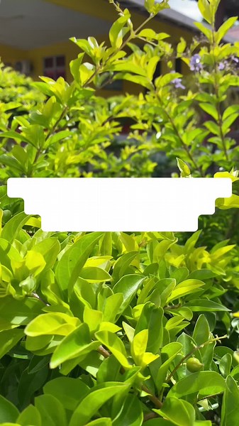 Homestay Murah di Taman Mini Akuakultur Tuaran