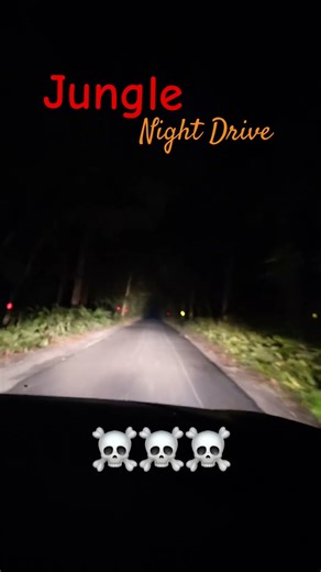 Jungle night drive, 😈☠️feel scary moment #junglenight #tigerterritory