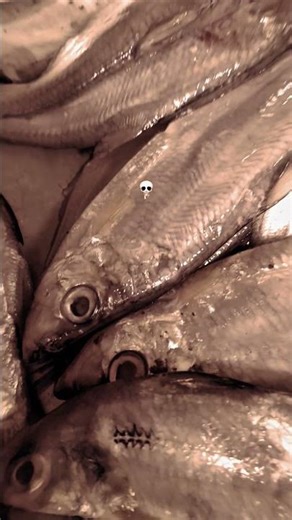 Dela fish 🐠🐟#daliyvlog #viralvideo #shortvideo #shorts