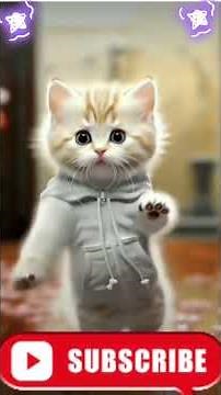 You Won't Believe These CRAZY Cat Dance Moves