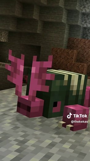 ❗⛏️¡CRIATURAS SUBTERRANEAS!⛏️❗More Critters - Mod Review [ Forge ] More Critters es un mod que nutre su mundo al agregar un montón de nuevas entidades variadas, teniendo capacidades desde pasivas o agresivas, siendo capaz de incluso domesticar a algunas, haciendo uso de sus habilidades a su beneficio… Espero la guia les sea de ayuda ¡Nos vemos en un próximo video! #minecraft #tutorial #minecraftshowcase #mods #minecraftespañol #minecraftmods #showcase #gaming #videojuegos #juegos #mod #exploraci