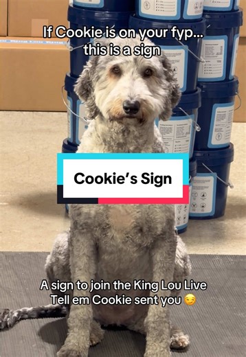 Cookie will be waiting… #fyp #tiktoklive #tiktokshopstockup #dogsoftiktok