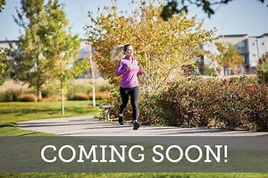 Canyon Views – 80’ Paradise Series by David Weekley Homes