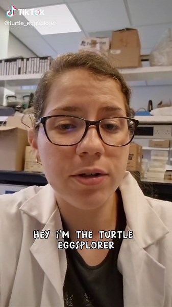 Frozen Turtle Eggs Research in the Lab