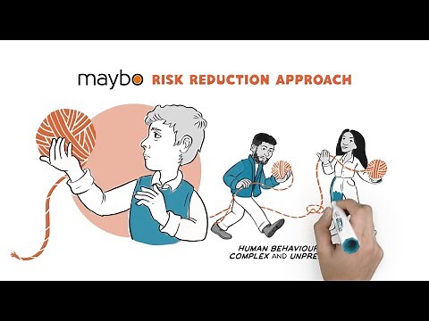 Maybo's Risk Reduction Approach