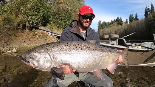 175 reactions · 30 shares | Fall marks salmon season on the Washington Coast. In this episode of Pautzke Outdoors we joined guide Bob Kratzer of Angler's Guide Service for a world class float on the Olympic Peninsula in search of fresh Chinook salmon and hope you join us on this priceless Pacific Northwest experience. | Pautzke Bait Company | Facebook