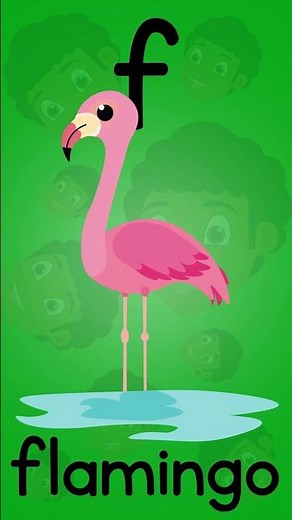abc song | Kai's Letter 'f' adventure: feathers & flamingo | Phonics | Hi Kai