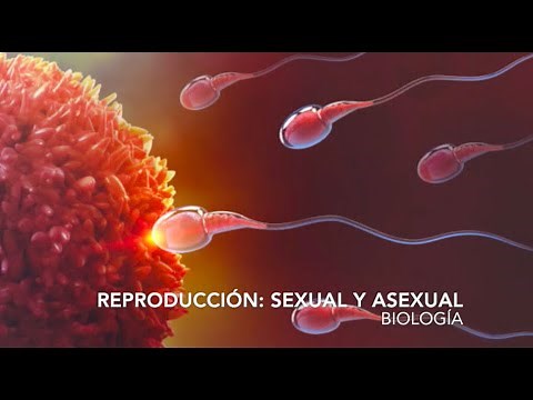 Reproducción: sexual y asexual