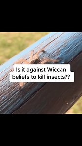 7 comments | What do you think? ️ #wicca #animal #nature | Wicca Academy | Facebook