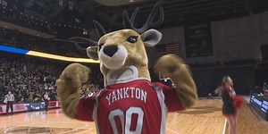 Yankton boys win Class AA Basketball Championship