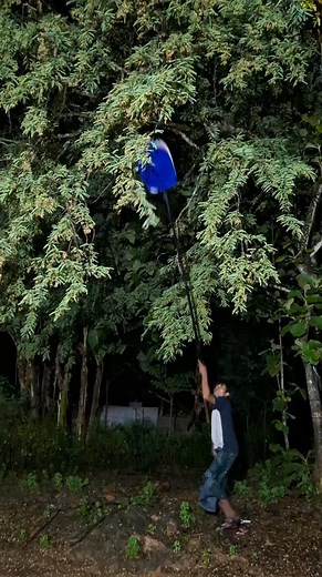 13K views · 22K reactions | Straight to the point | Kang Zen | Facebook