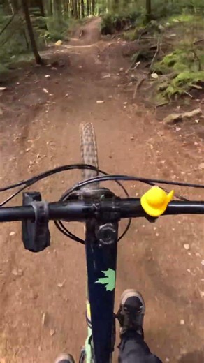 Fun section+a mini manual on the roller #mtb #viral #gopro #downhill