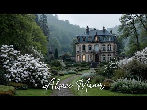 Calm Cello Music for Studying, Reading and Focus | Relaxing Instrumental Background Sounds